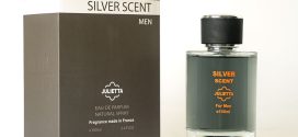 عطر بزرگسال 100 میل مردانه Silver Scent